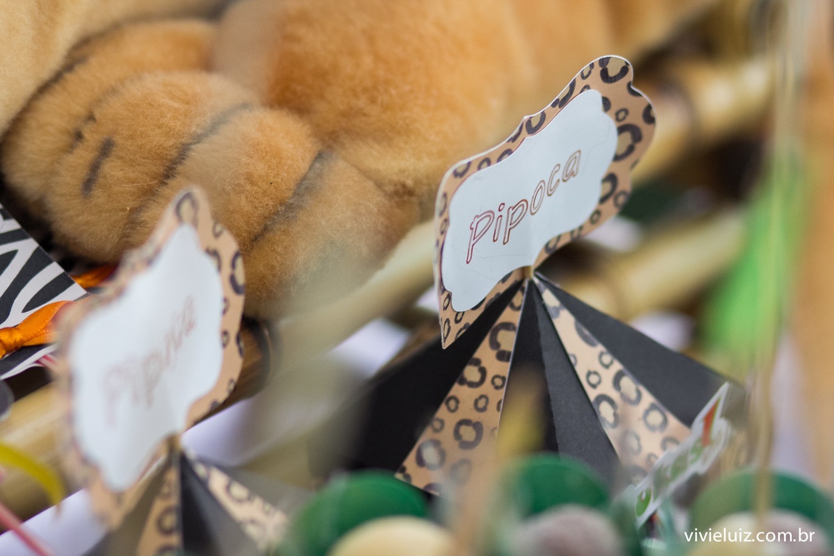 decoracao safari de festa infantil em brasilia com fotos da vivi e luiz fotografias no espaco cata-vento