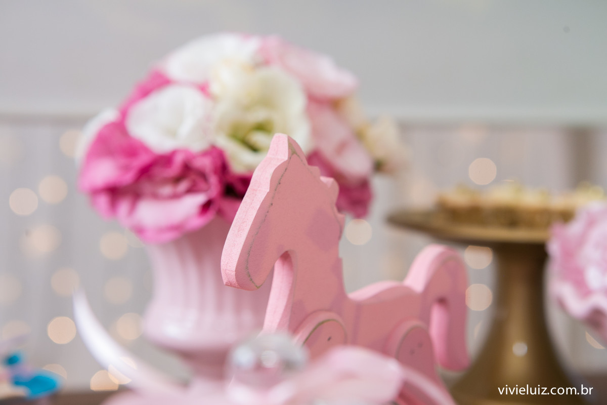 decoracao de festa infantil em brasilia com fotos da vivi e luiz fotografias