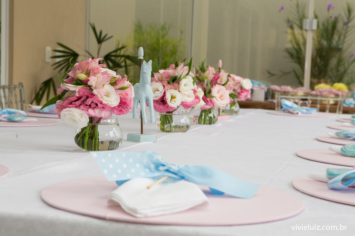 decoracao de festa infantil em brasilia com fotos da vivi e luiz fotografias
