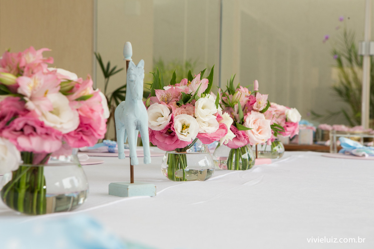 decoracao de festa infantil em brasilia com fotos da vivi e luiz fotografias