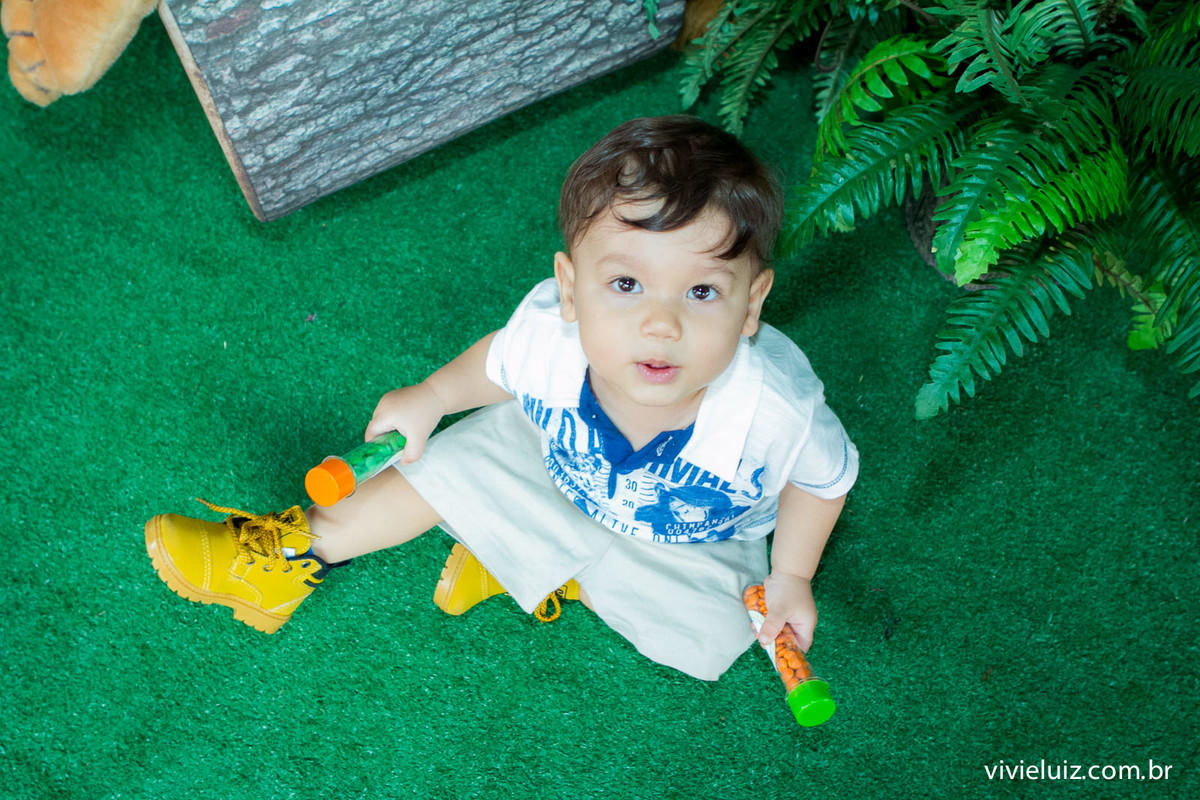 aniversario infantil por vivi e luiz fotografias