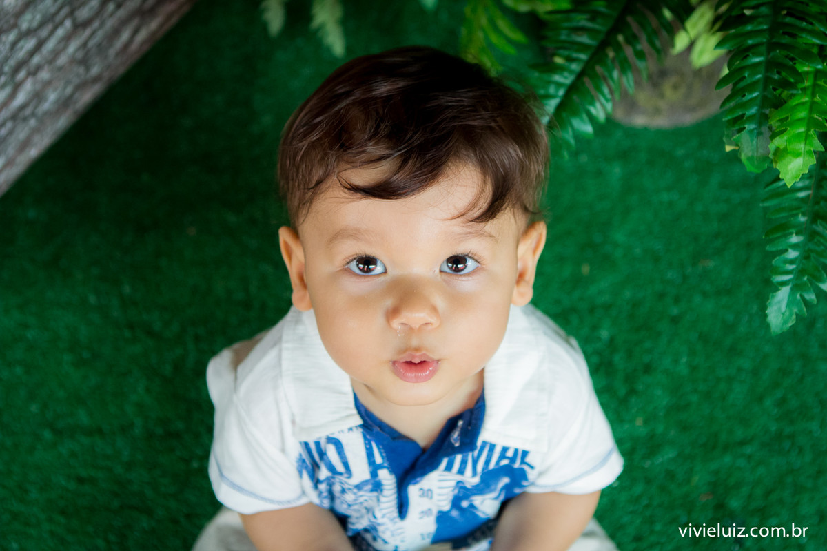 aniversario infantil por vivi e luiz fotografias