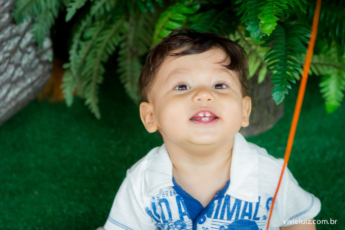 aniversario infantil por vivi e luiz fotografias