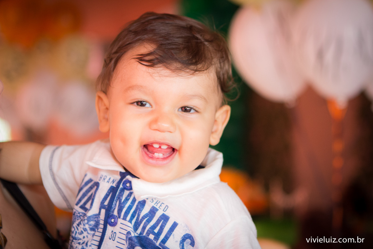 aniversario infantil por vivi e luiz fotografias