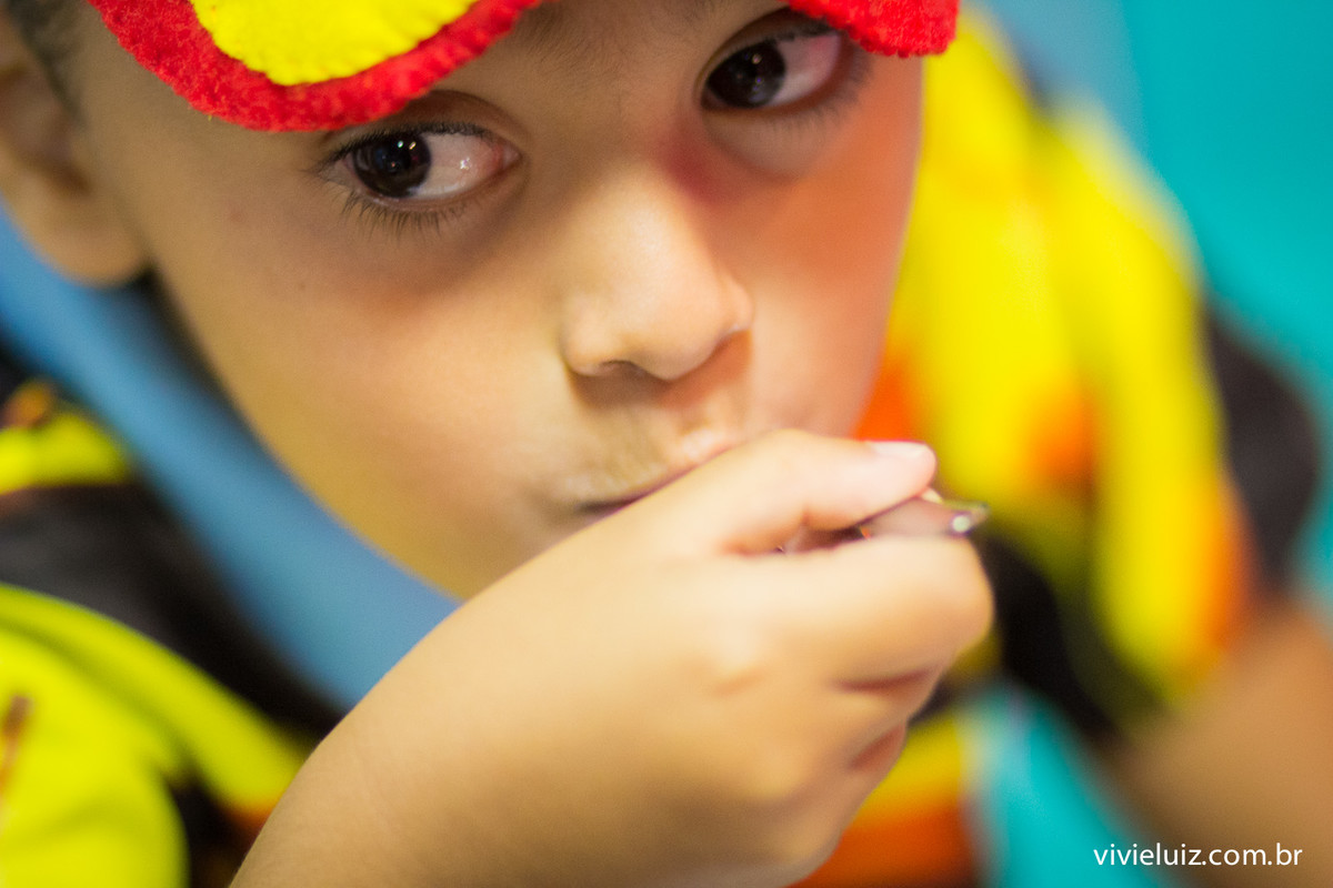 aniversario infantil por vivi e luiz fotografias