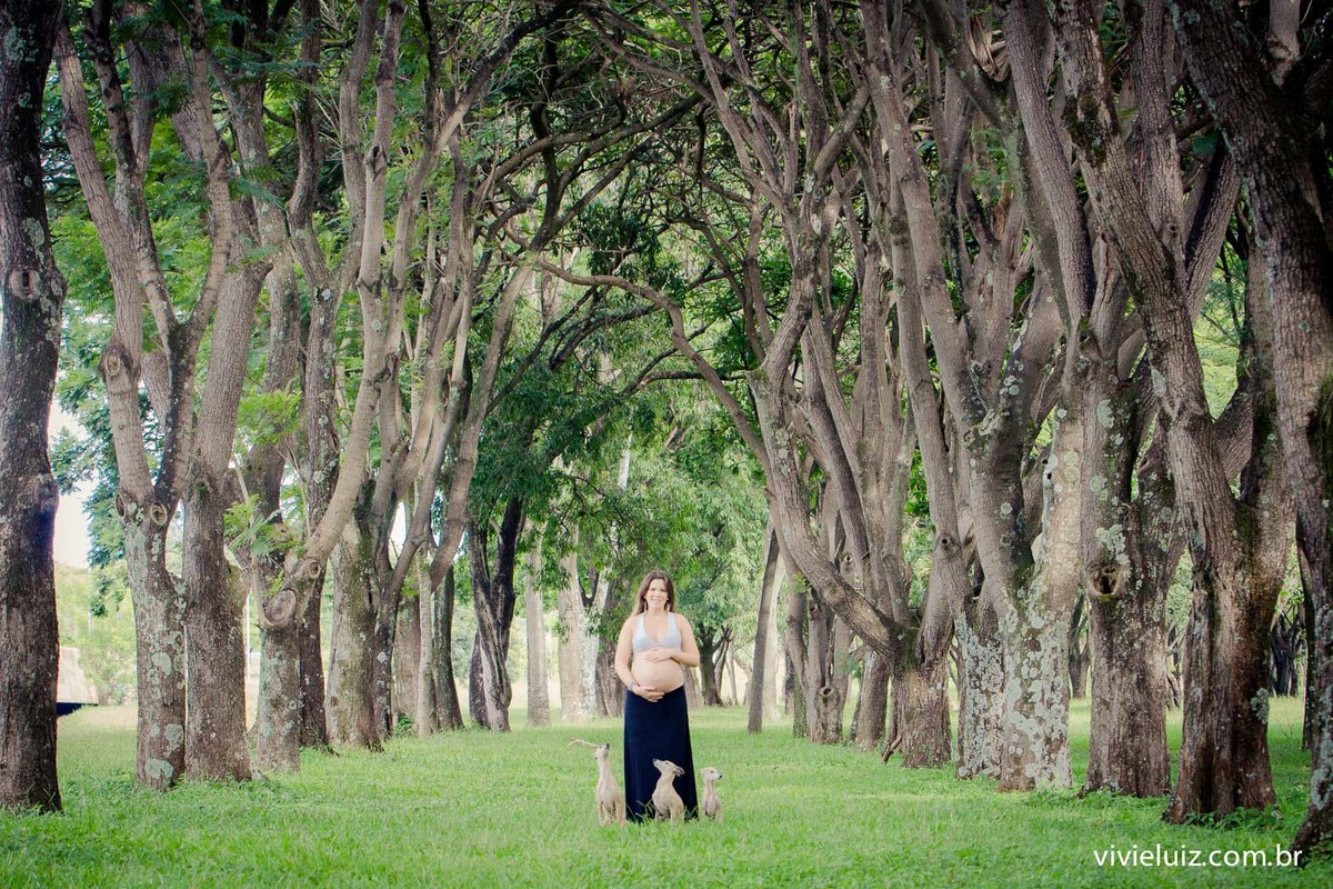 fotos de gestante por vivi e luiz fotografias