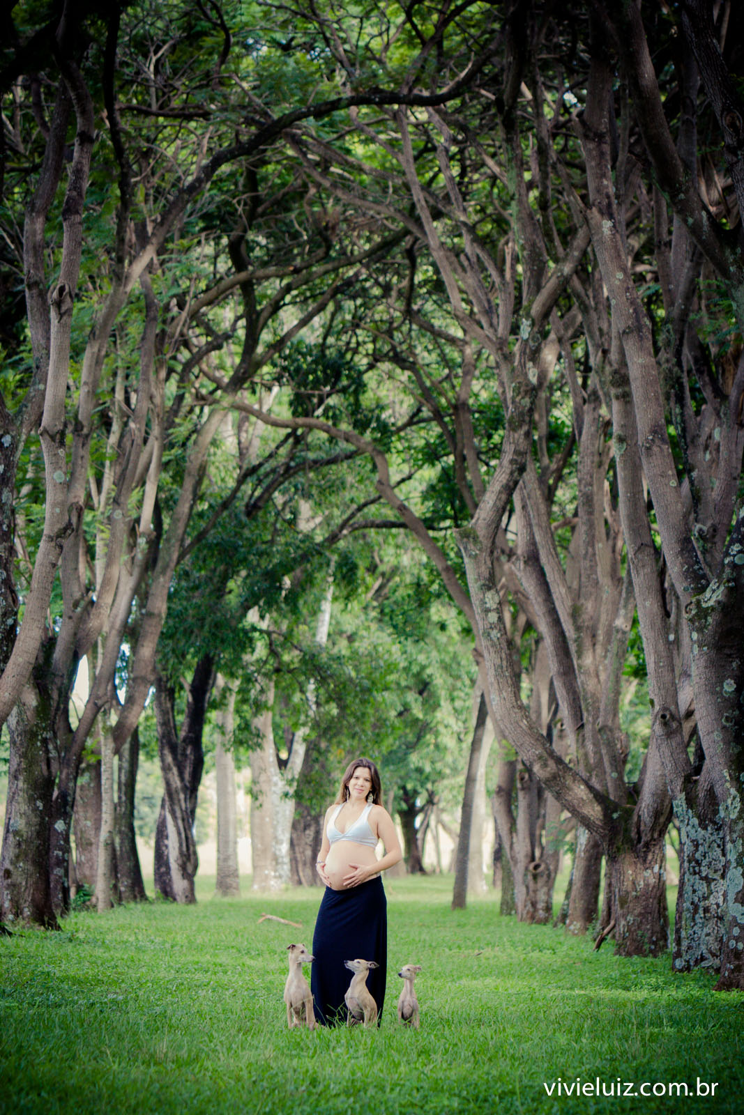 fotos de gestante arvores por vivi e luiz fotografias