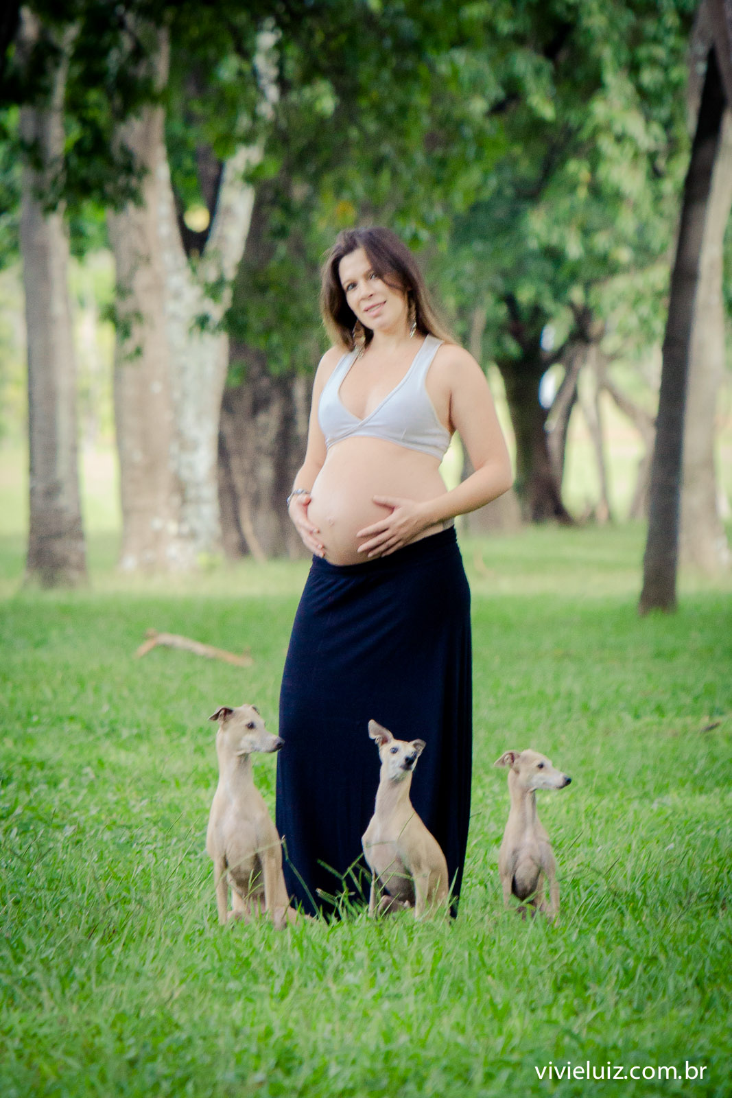 fotos de gestante arvores por vivi e luiz fotografias