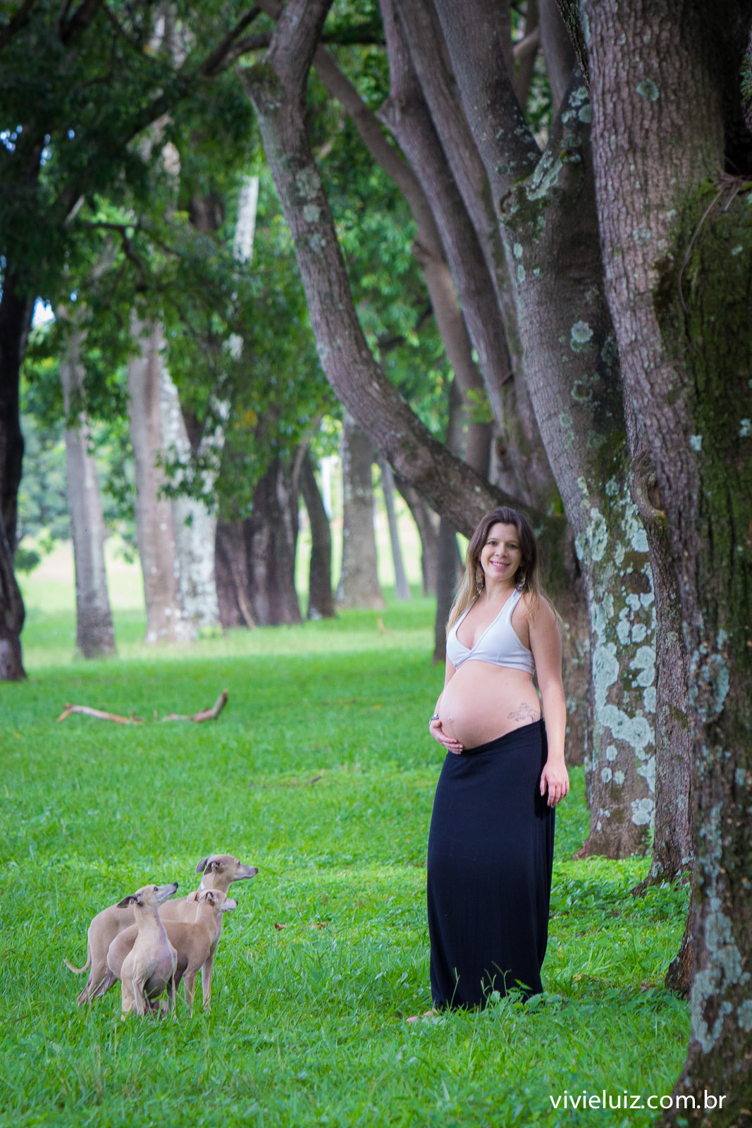 fotos de gestante arvores por vivi e luiz fotografias