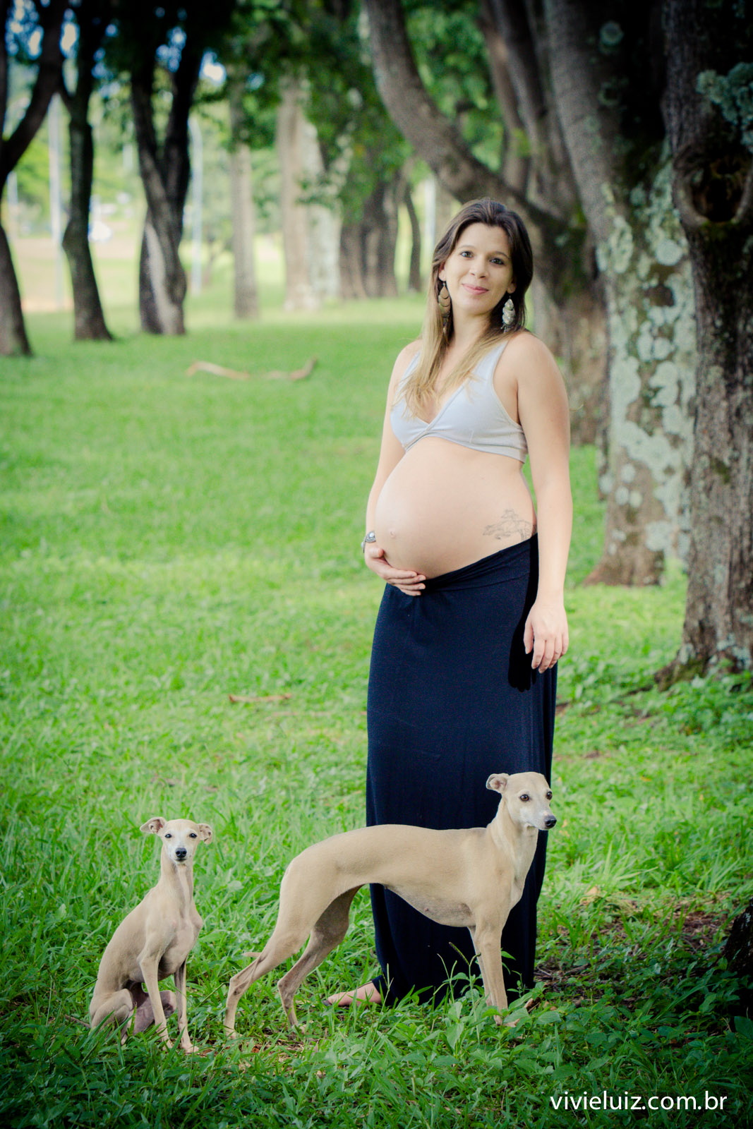 fotos de gestante arvores por vivi e luiz fotografias