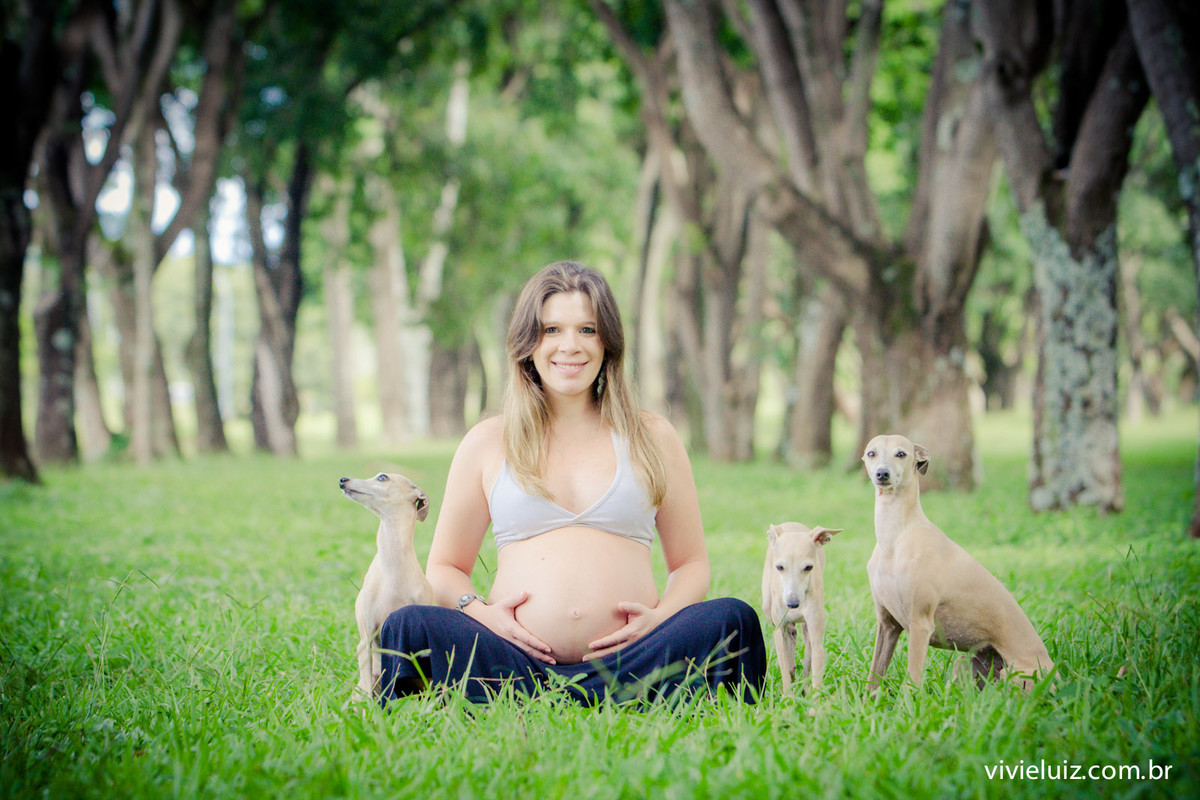fotos de gestante arvores por vivi e luiz fotografias