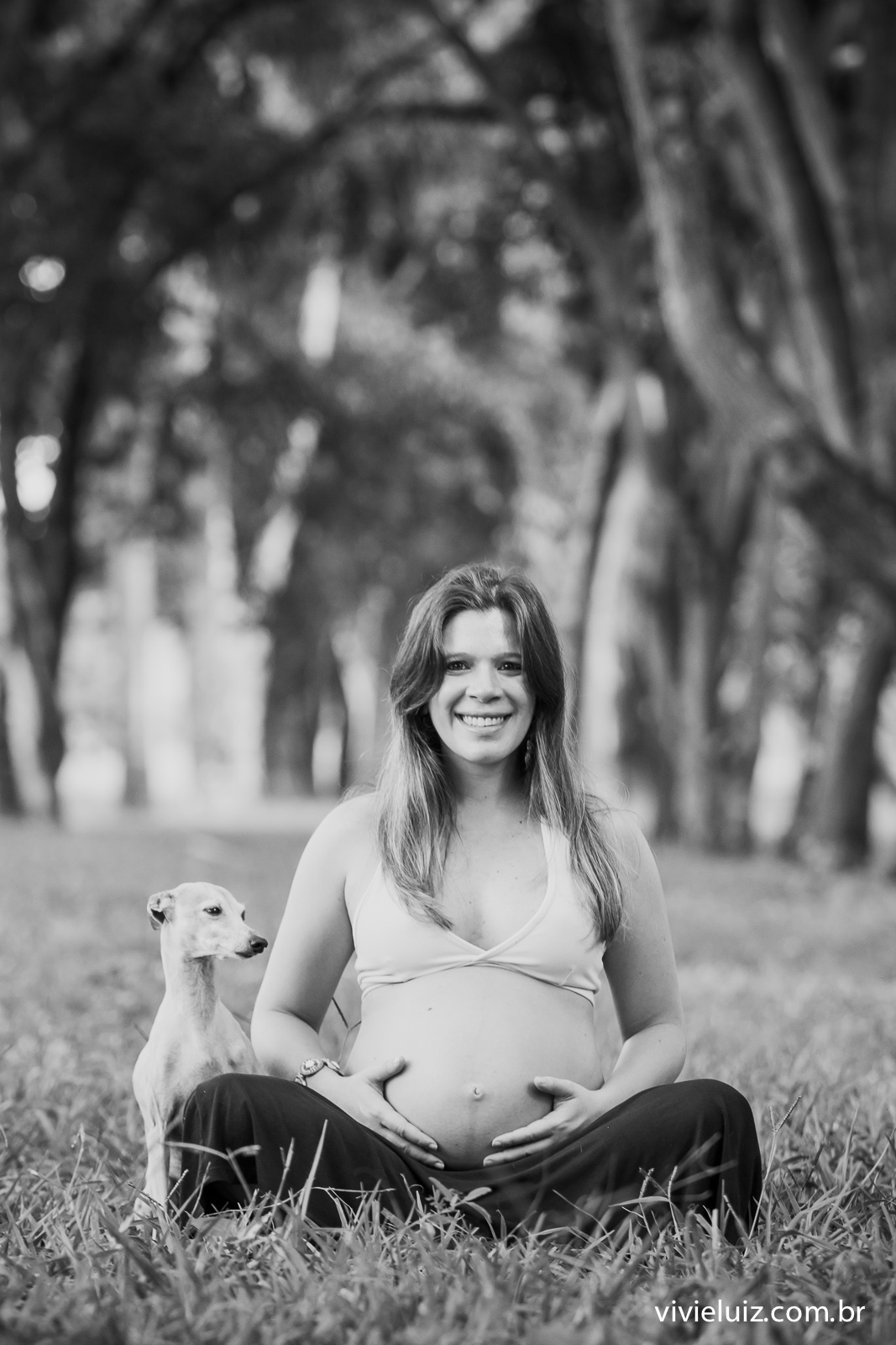 fotos de gestante arvores por vivi e luiz fotografias