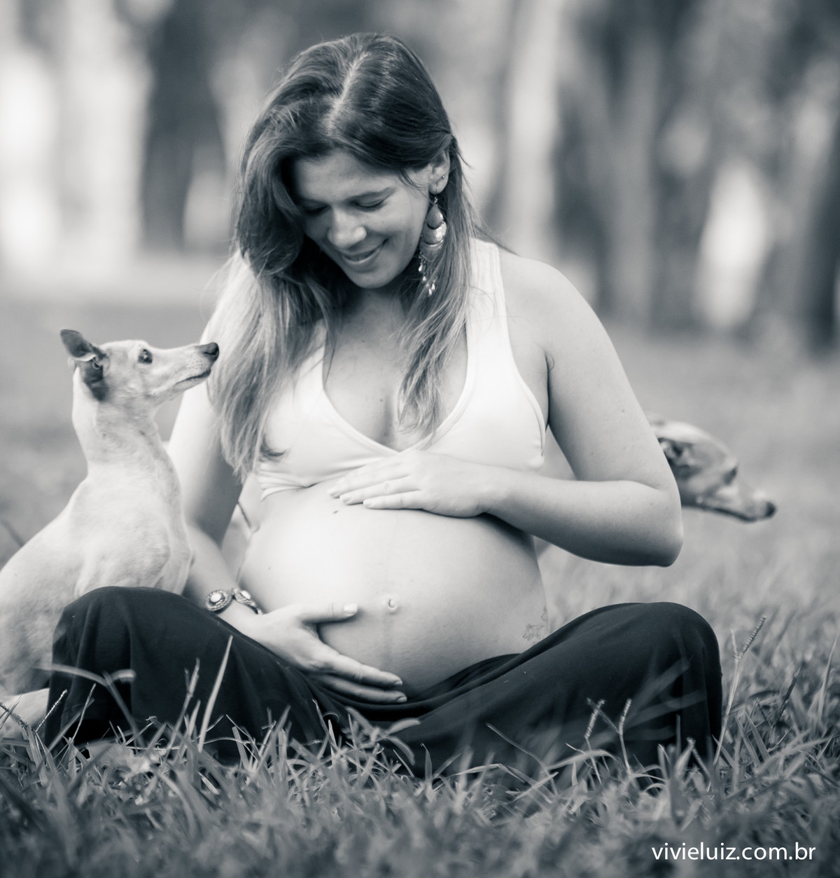fotos de gestante arvores por vivi e luiz fotografias
