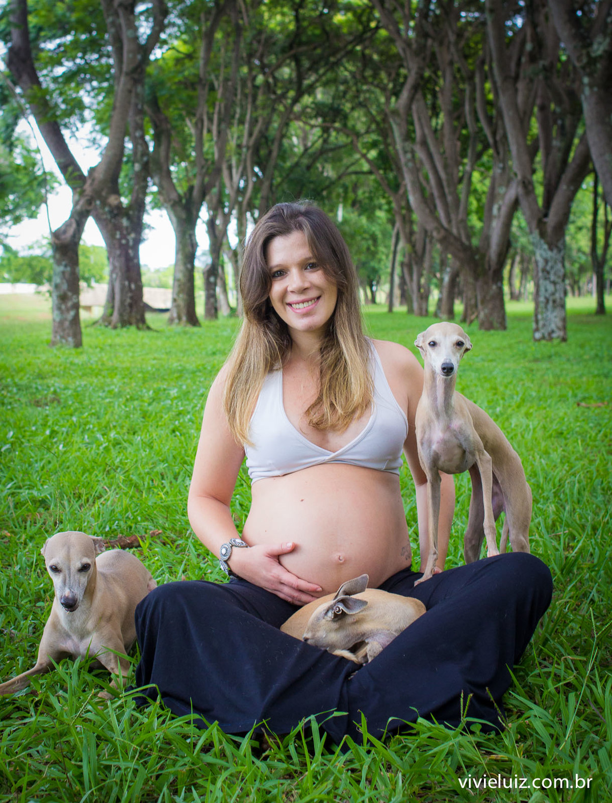fotos de gestante arvores por vivi e luiz fotografias
