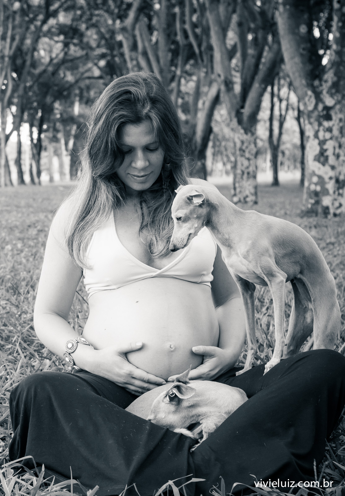 fotos de gestante arvores por vivi e luiz fotografias