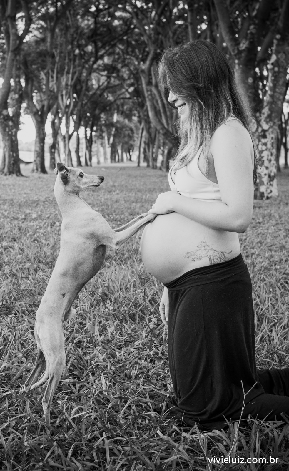 fotos de gestante arvores por vivi e luiz fotografias