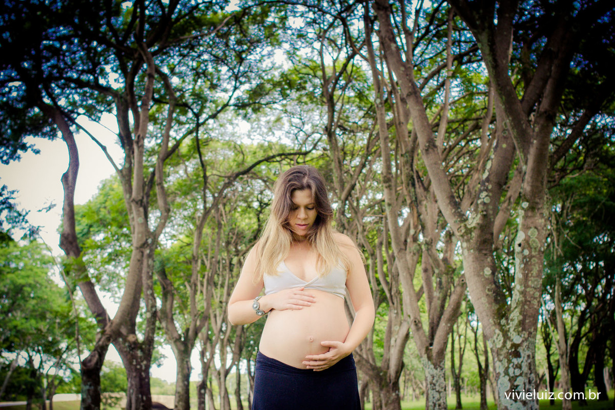 fotos de gestante arvores por vivi e luiz fotografias