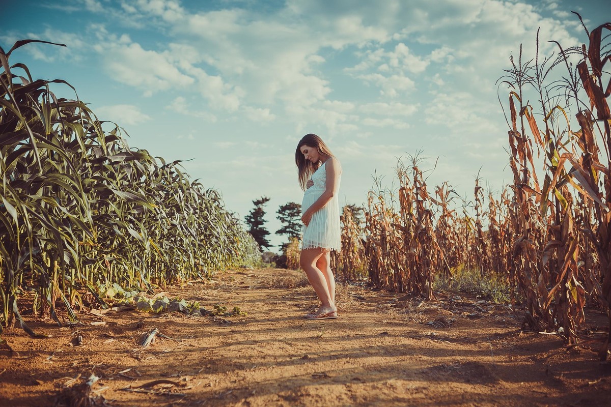 Gestante pregnant ensaio casa home saudável book fotos vitória vila velha lingerie roupa leveza bebê gestação neném viana sara plantação milho Golden hour por sol fazenda sitio