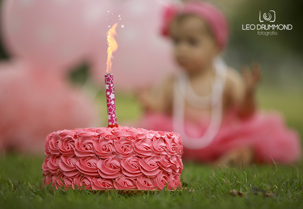 foto de criança em Sete Lagoas, fotógrafo de criança em Sete Lagoas, Smash The Cake em Sete Lagoas, menina, menino, princesa, aniversário de crinaça, fotos de aniversário, fotógrafo de aniversários,