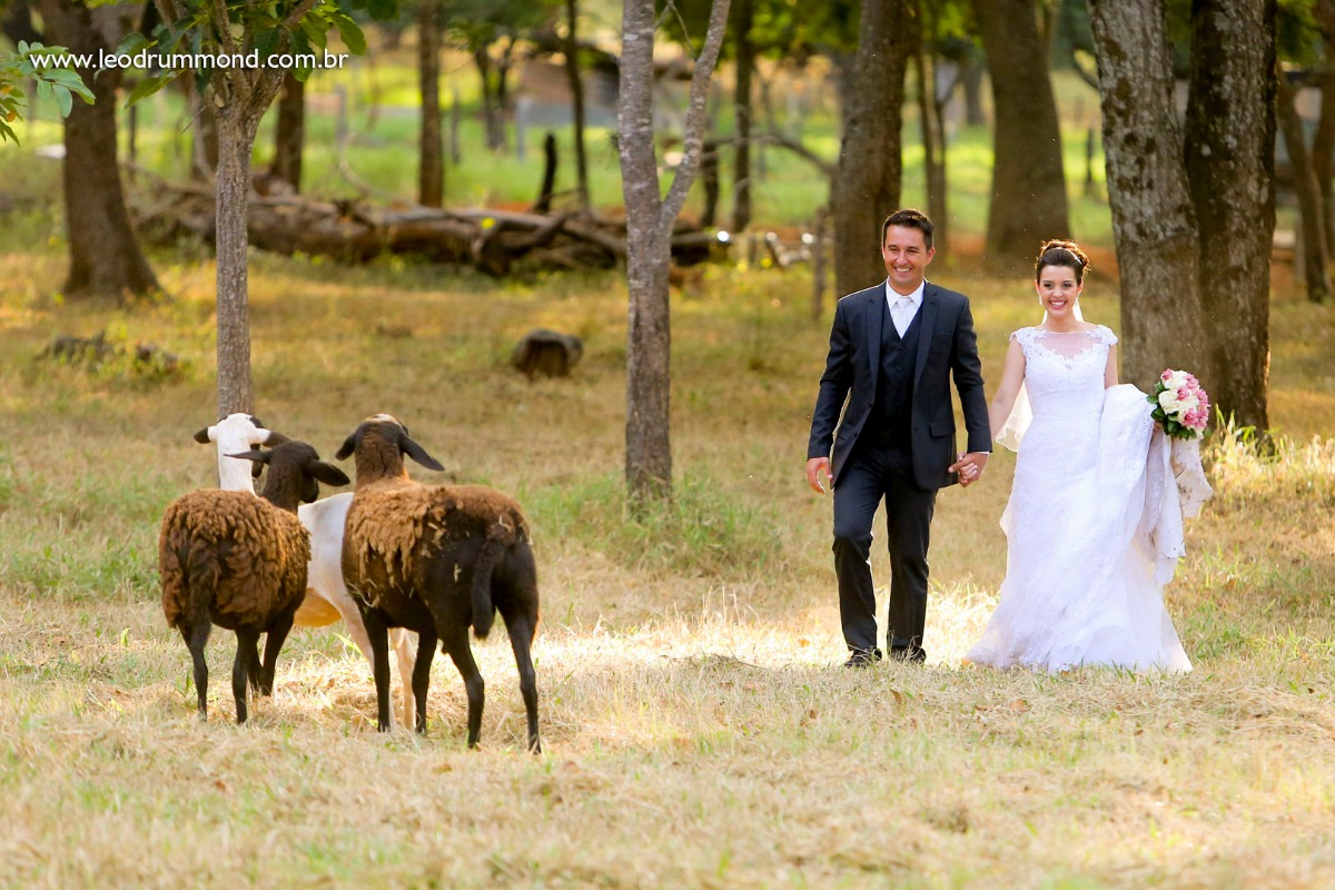 noivo, marquinho, making, caetanopolis, igreja matriz, casamento em, fotografo de casamento, dia especial, ceu azul, Carol e marquinho, desespetados, familia Dalle, guilhermne dalle, casa da familia, fazenda, carneiros
