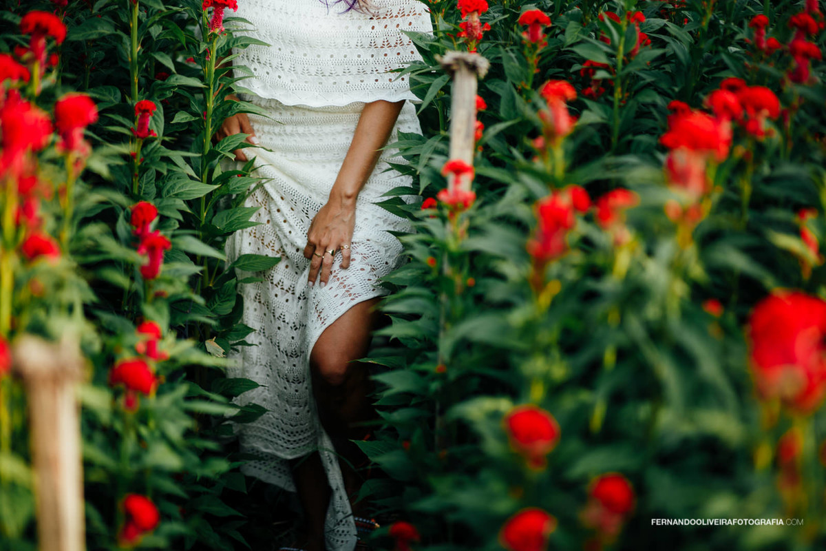 book_fotografico_sp_holambra_fotografo_15_anos_sessao_fotos_feminino