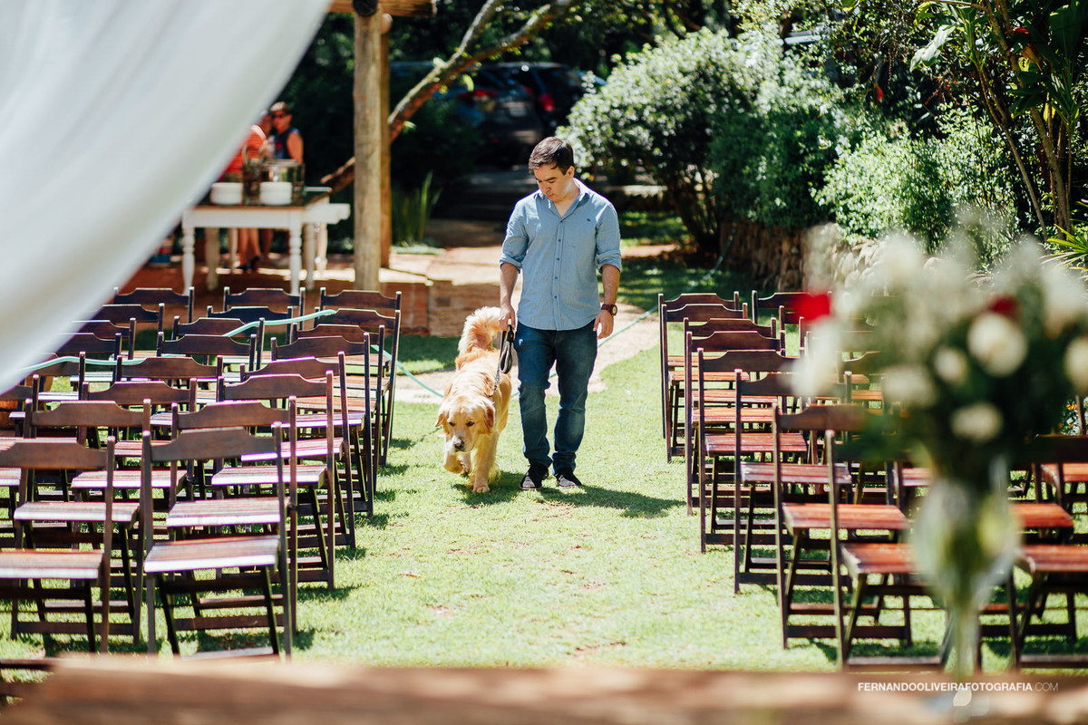 cachorro no casamento