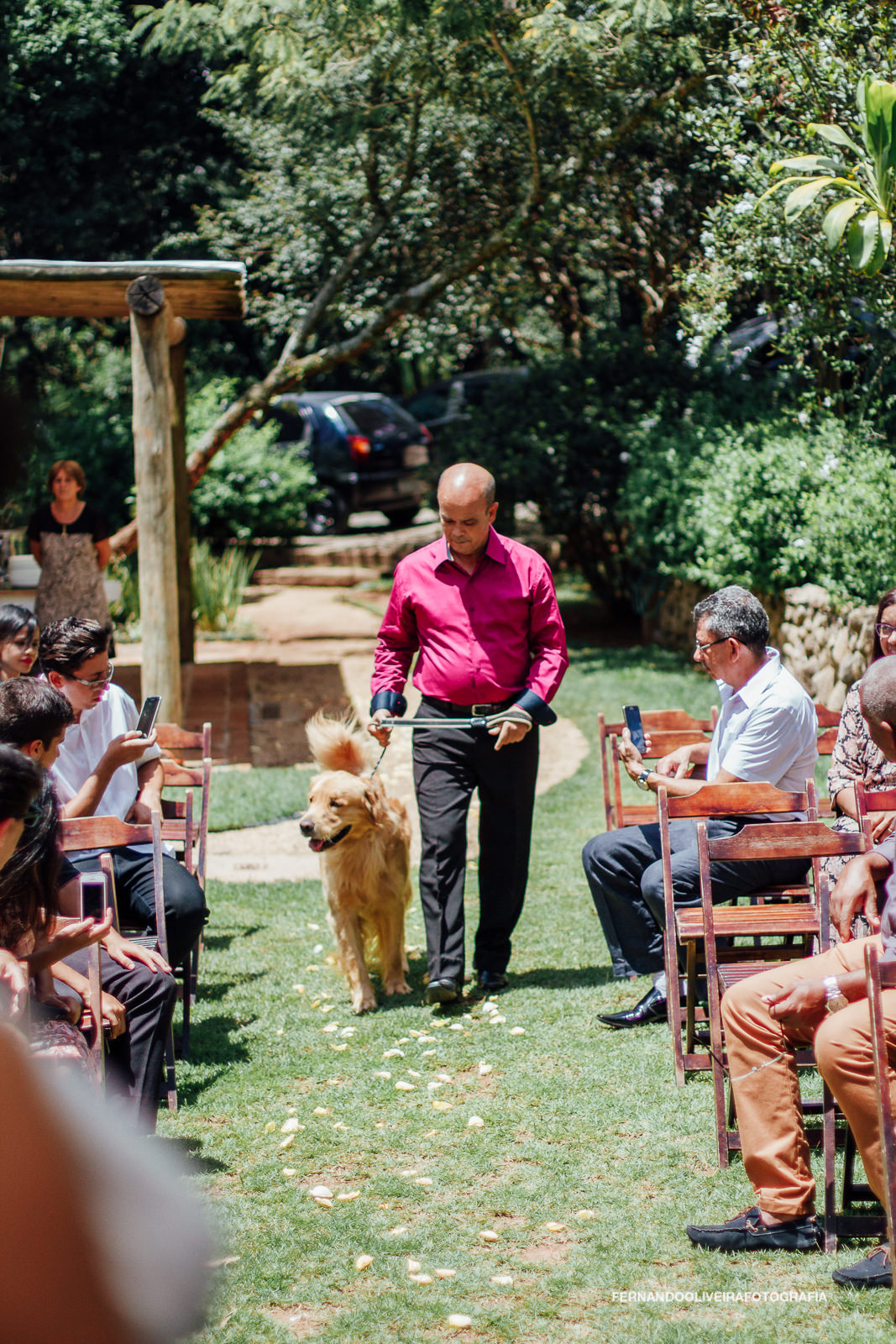 alianças de casamento