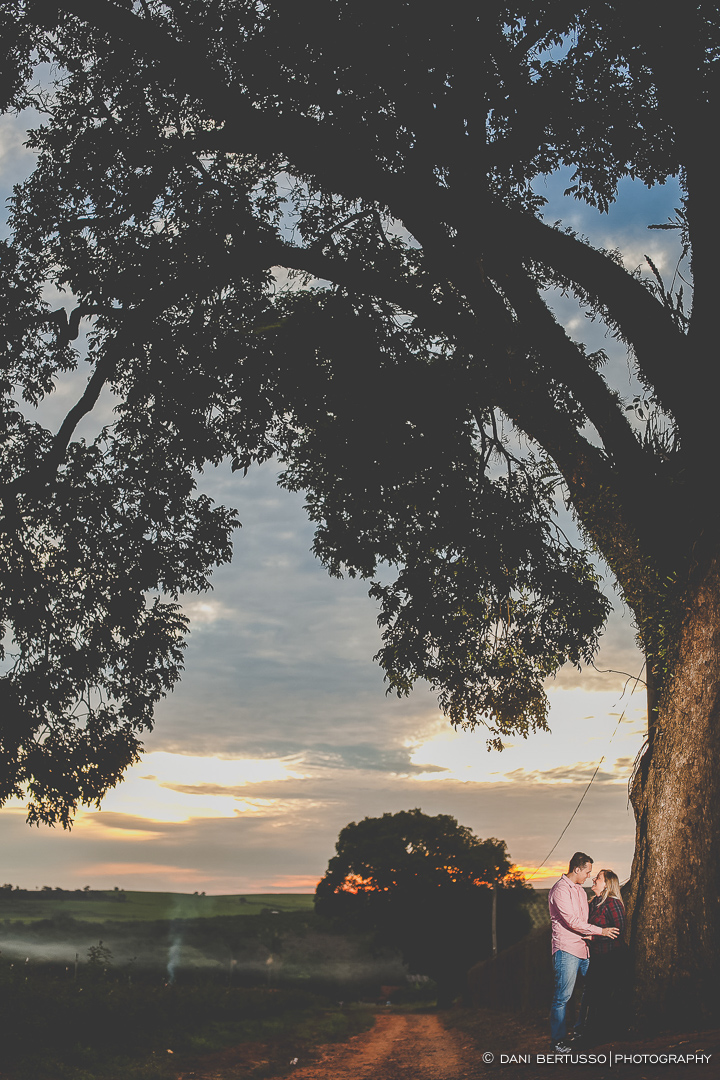 Ensaio fotográfico em Holambra - Pre wedding - Destination wedding - Fotografia de Casamento - Sessão de fotos no Campo - Fotógrafa de Casamentos em SP - Dani Bertusso