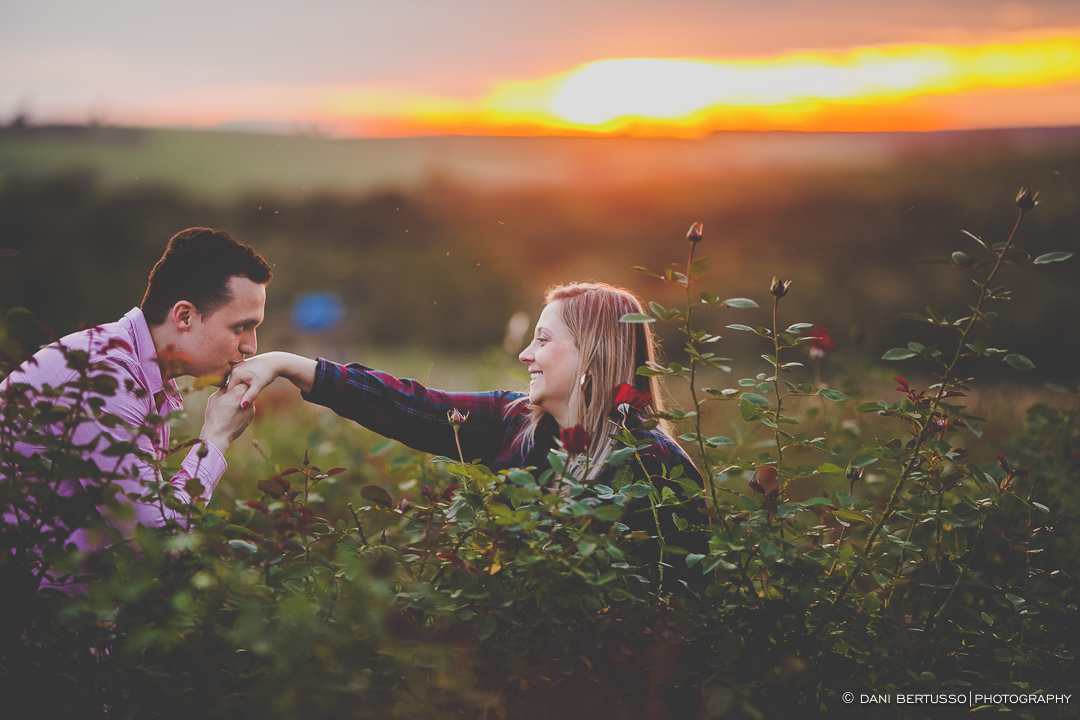 Ensaio fotográfico em Holambra - Pre wedding - Destination wedding - Fotografia de Casamento - Sessão de fotos no Campo - Fotógrafa de Casamentos em SP - Dani Bertusso