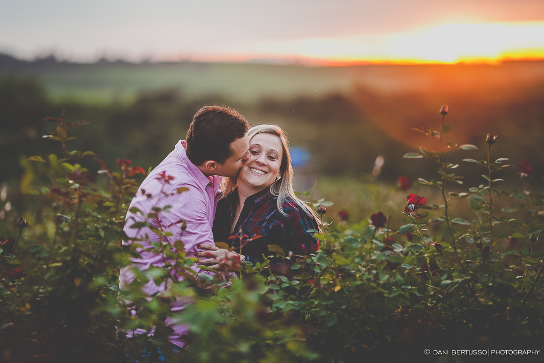 Ensaio fotográfico em Holambra - Pre wedding - Destination wedding - Fotografia de Casamento - Sessão de fotos no Campo - Fotógrafa de Casamentos em SP - Dani Bertusso