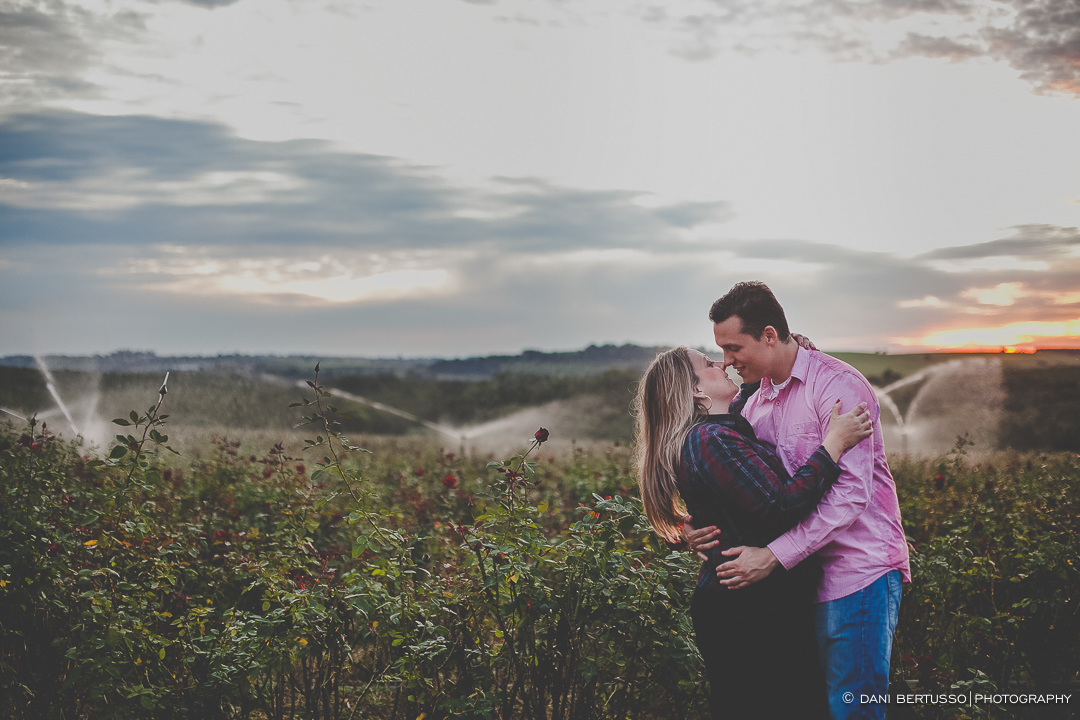 Ensaio fotográfico em Holambra - Pre wedding - Destination wedding - Fotografia de Casamento - Sessão de fotos no Campo - Fotógrafa de Casamentos em SP - Dani Bertusso