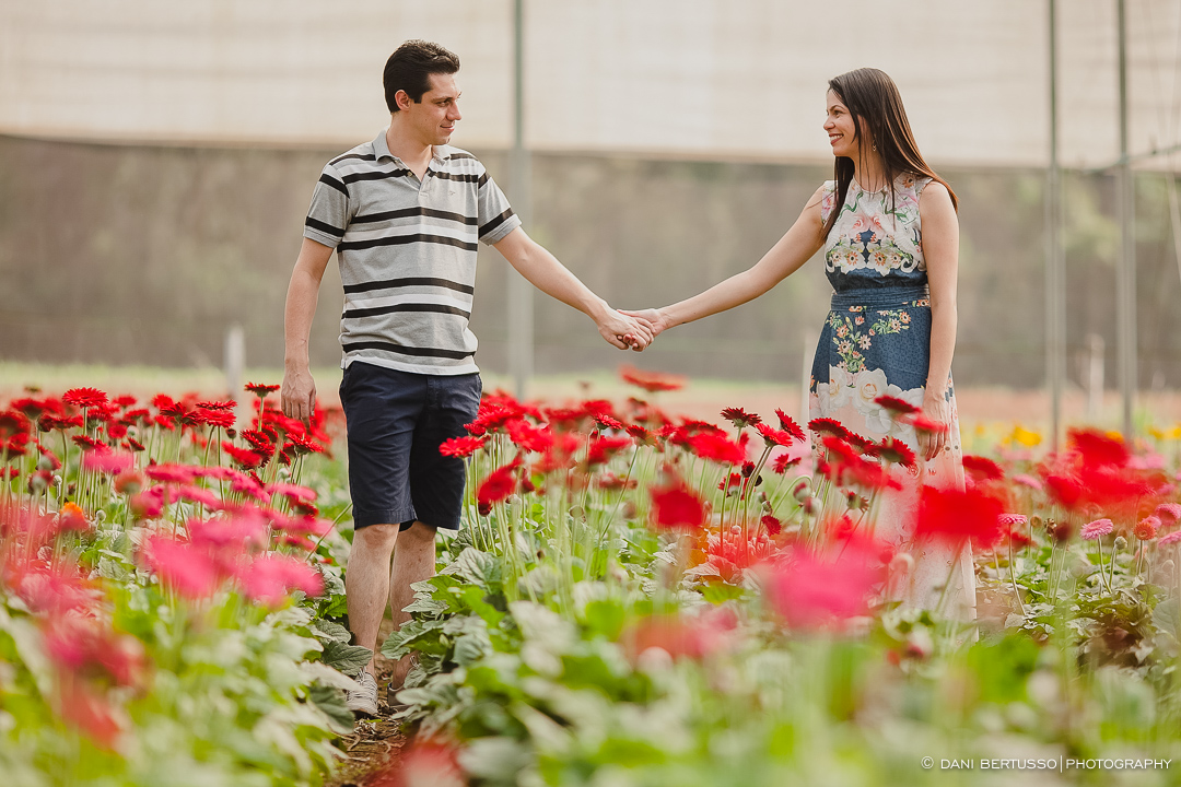 Ensaio fotográfico em Holambra - Pre wedding - Destination wedding - Fotografia de Casamento - Sessão de fotos no Campo - Fotógrafa de Casamentos em SP - Dani Bertusso