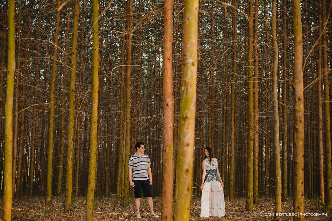 Ensaio fotográfico em Holambra - Pre wedding - Destination wedding - Fotografia de Casamento - Sessão de fotos no Campo - Fotógrafa de Casamentos em SP - Dani Bertusso