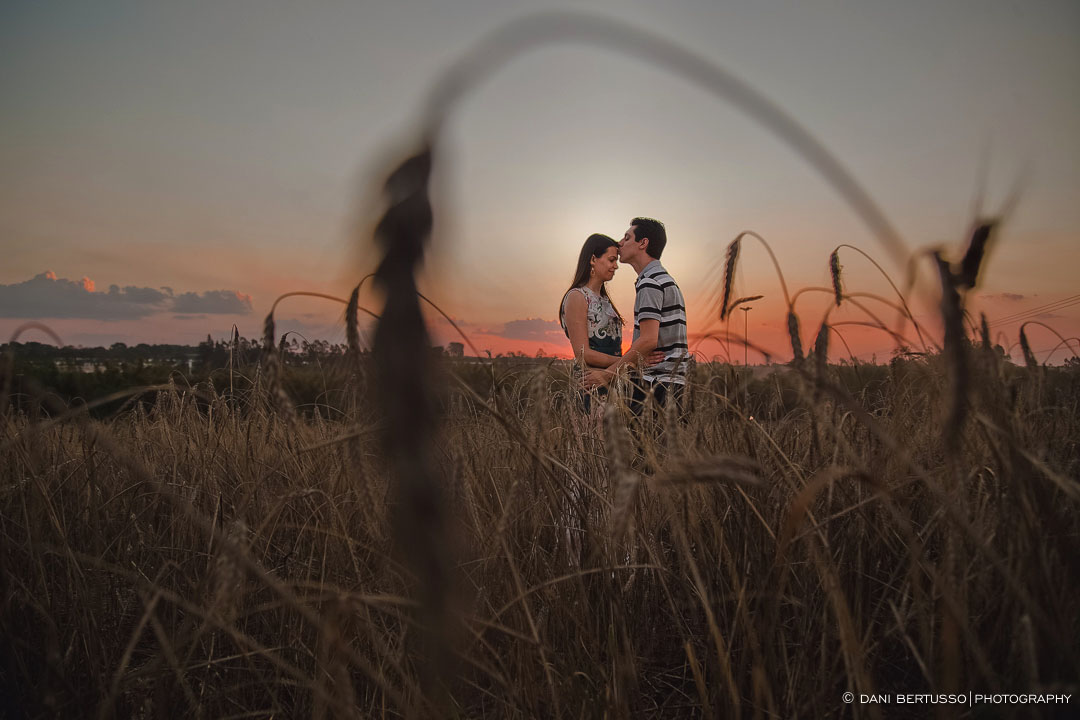 Ensaio fotográfico em Holambra - Pre wedding - Destination wedding - Fotografia de Casamento - Sessão de fotos no Campo - Fotógrafa de Casamentos em SP - Dani Bertusso