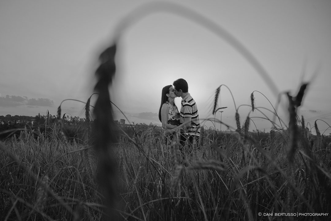 Ensaio fotográfico em Holambra - Pre wedding - Destination wedding - Fotografia de Casamento - Sessão de fotos no Campo - Fotógrafa de Casamentos em SP - Dani Bertusso
