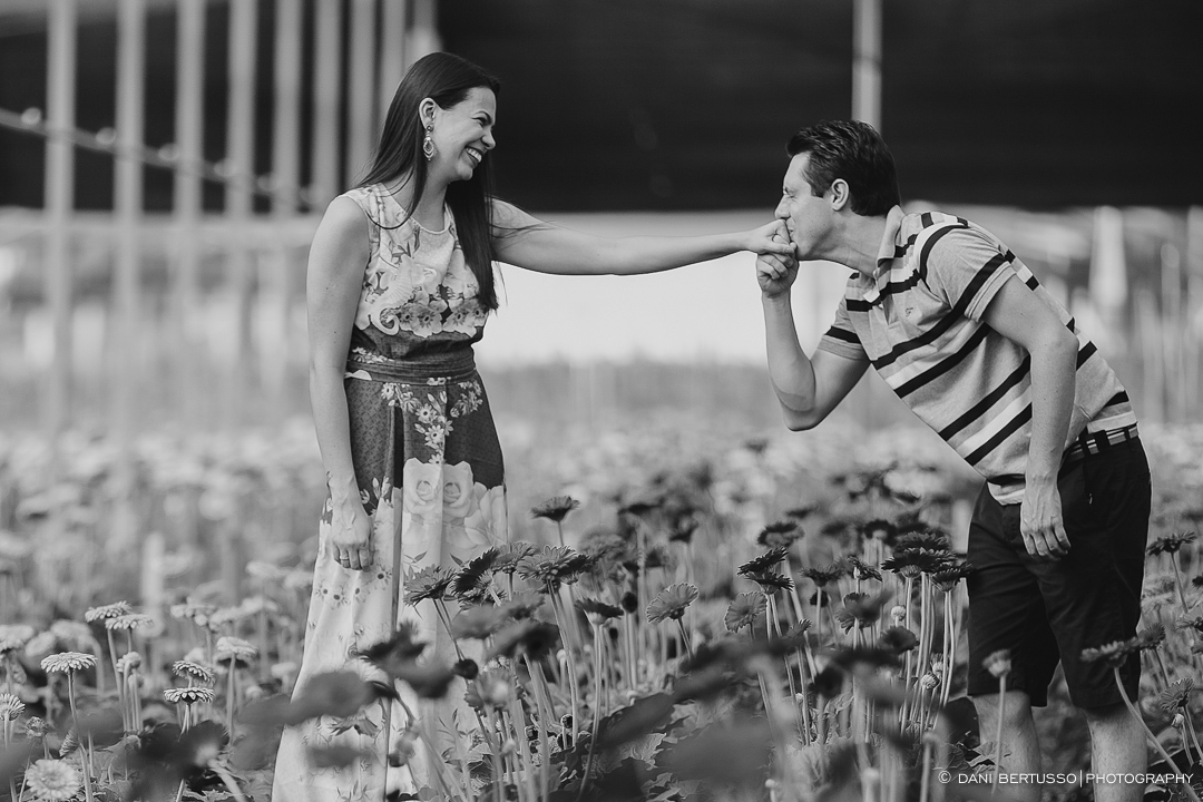 Ensaio fotográfico em Holambra - Pre wedding - Destination wedding - Fotografia de Casamento - Sessão de fotos no Campo - Fotógrafa de Casamentos em SP - Dani Bertusso