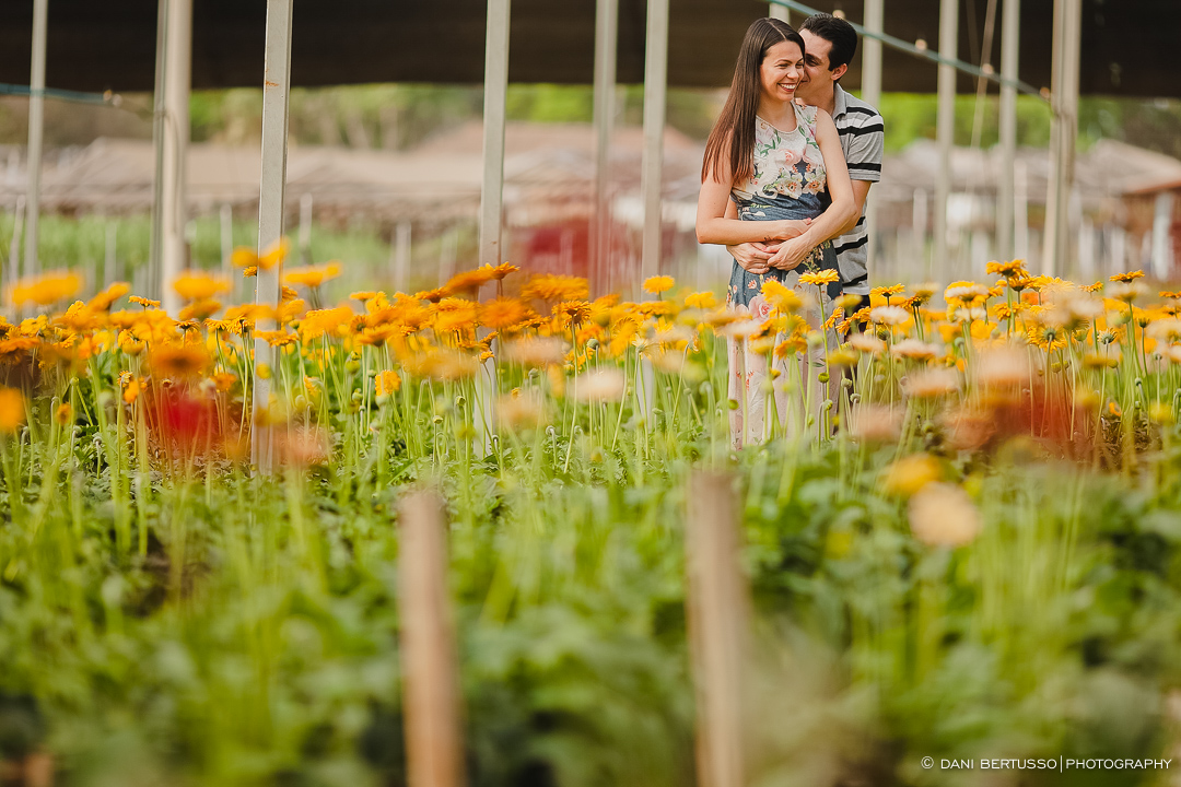 Ensaio fotográfico em Holambra - Pre wedding - Destination wedding - Fotografia de Casamento - Sessão de fotos no Campo - Fotógrafa de Casamentos em SP - Dani Bertusso
