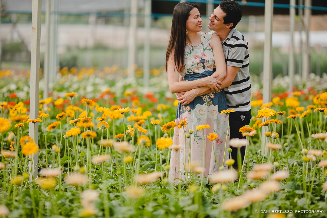 Ensaio fotográfico em Holambra - Pre wedding - Destination wedding - Fotografia de Casamento - Sessão de fotos no Campo - Fotógrafa de Casamentos em SP - Dani Bertusso