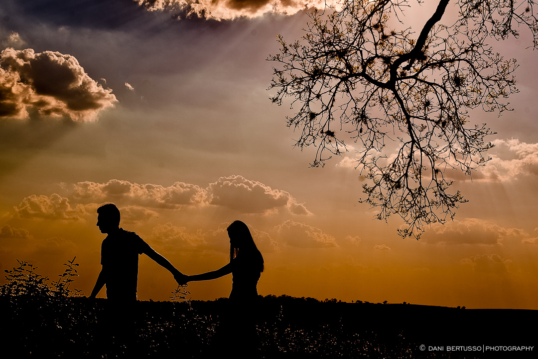 Ensaio fotográfico em Holambra - Pre wedding - Destination wedding - Fotografia de Casamento - Sessão de fotos no Campo - Fotógrafa de Casamentos em SP - Dani Bertusso