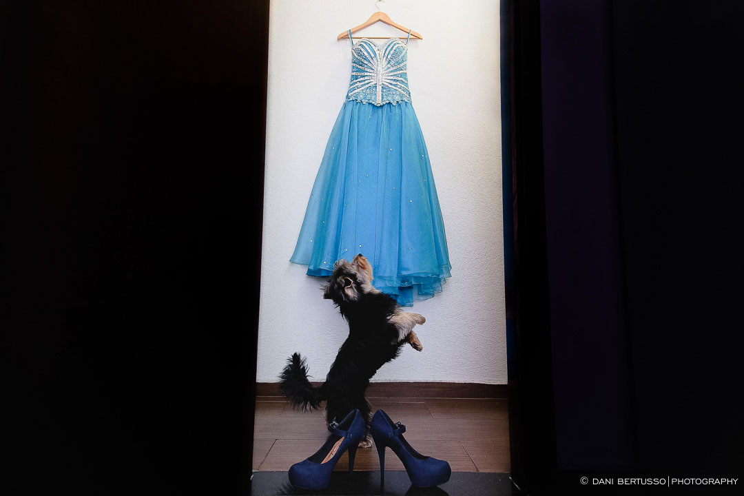 Fotografia Debutante - Festa de 15 Anos a fantasia – Fotografia de 15 Anos - Fotografia de Casamento - Fotógrafa de Casamentos e Família em SP - Dani Bertusso - Espaço Rafima - Osasco
