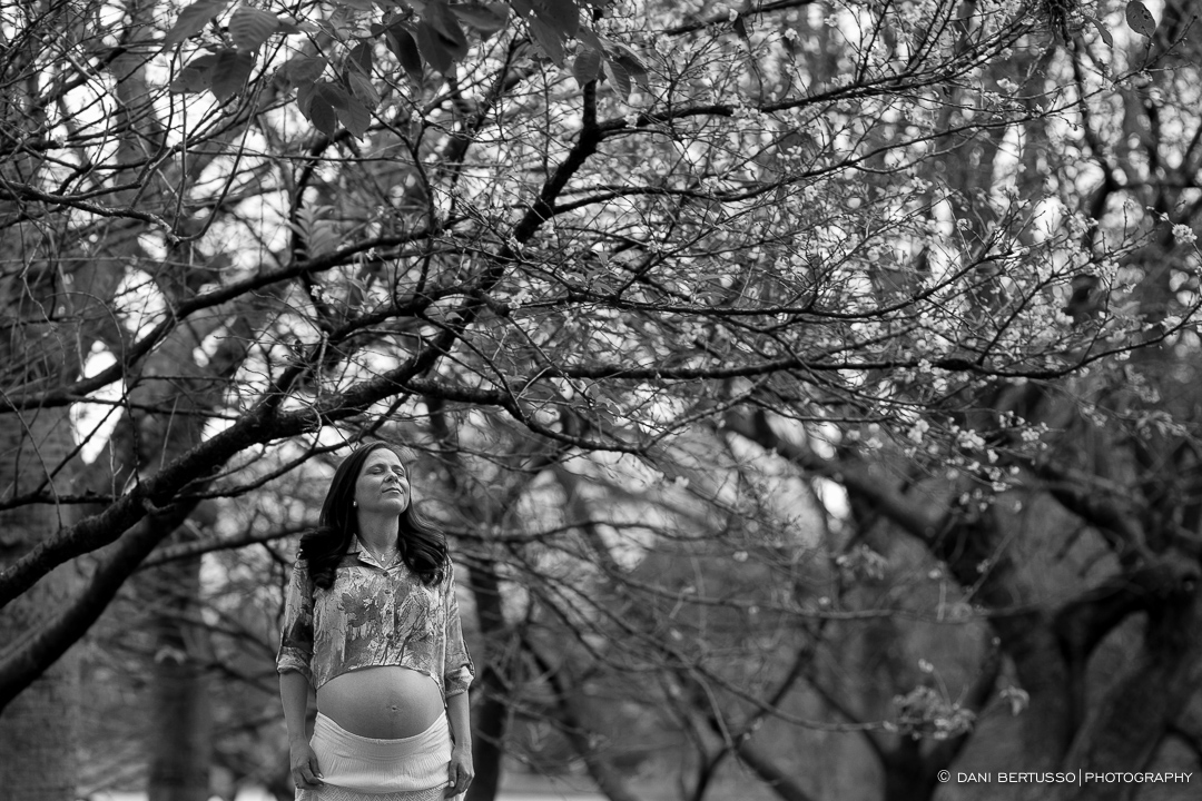 Ensaio fotográfico Gestante – Fotografia de grávidas - Fotografia de Casamento - Sessão de fotos no campo - Fotógrafa de Casamentos e Família em SP - Dani Bertusso - São Paulo