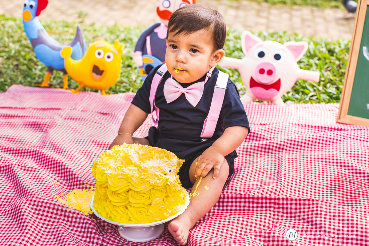 smash the cake criança