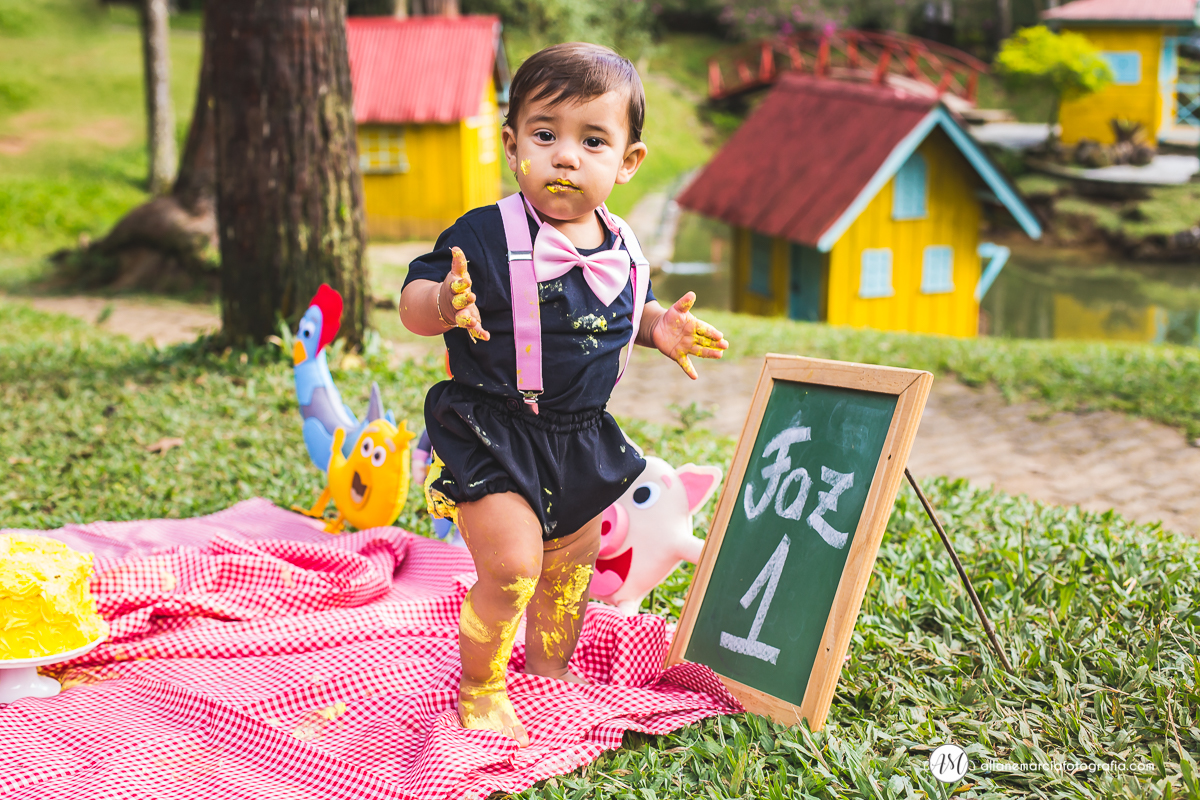 smash the cake de 1 ano