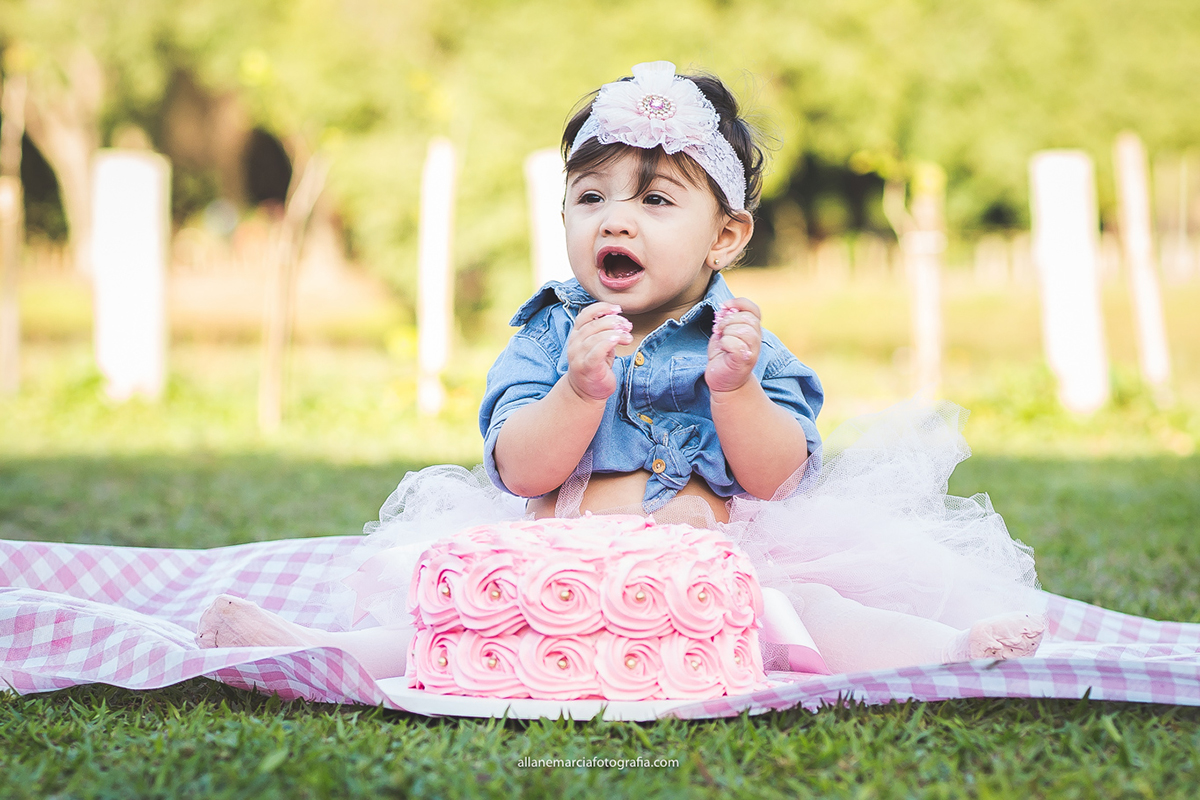 smash the cake da sophia na barra