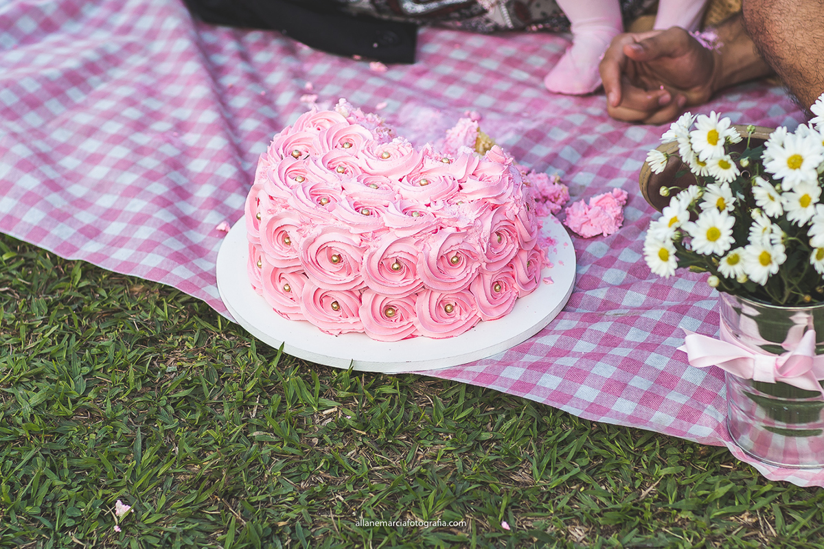 bolo para smash the cake
