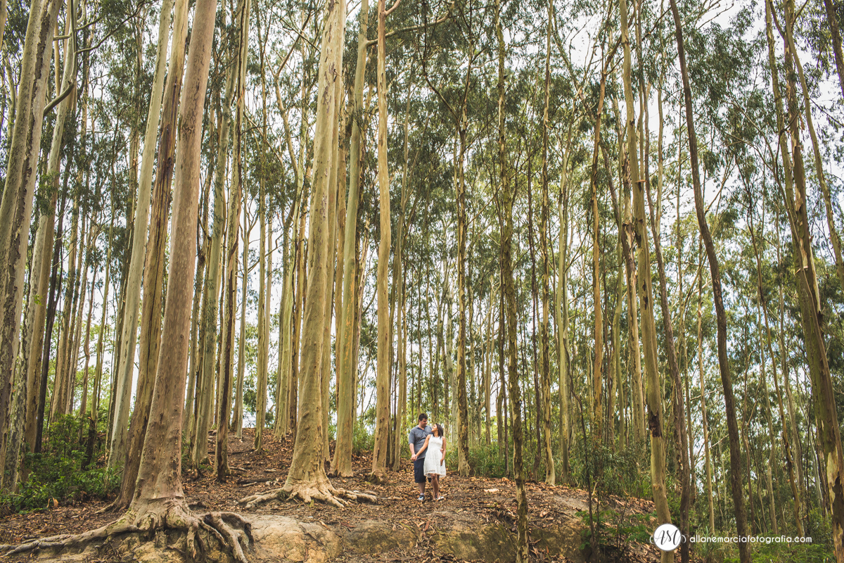 ensaio pre-casamento em sitio