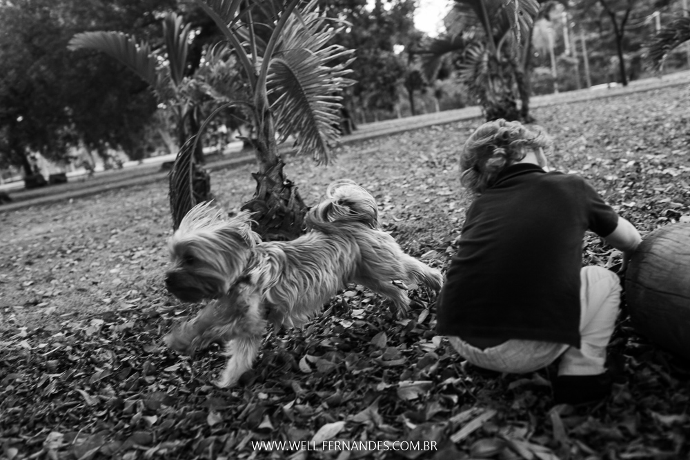 passeio com cachorro
