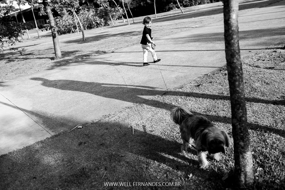 fotografia de pets