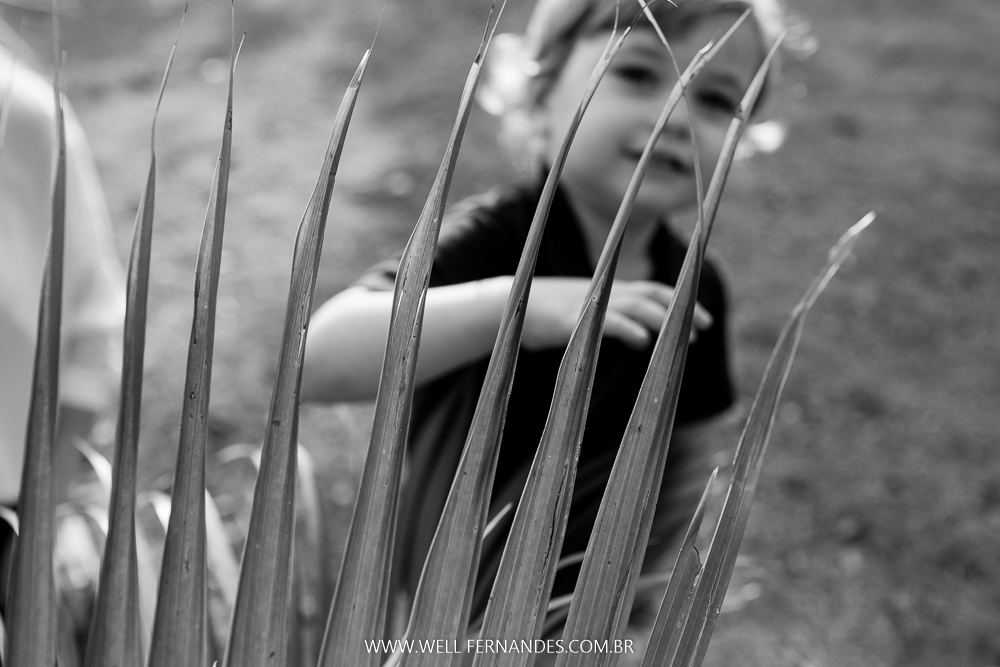 fotografia de familia