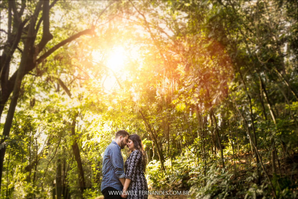 fotos pré wedding